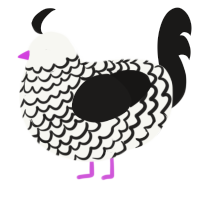 Yoinky Sploinky 2, a white and sable chicken with a lace pattern