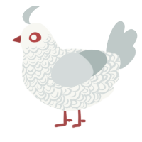 Lettres du voyant, a white and silver chicken with a double-lace pattern