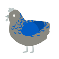 Rock pool, a ash and ultramarine chicken with a half-lace pattern