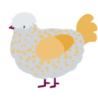 A mist and honey chicken with a speckle pattern