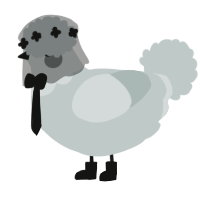 Halo, a silver chicken with a head pattern