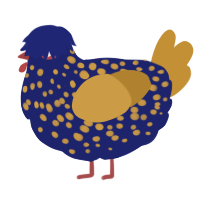 A navy and gold chicken with a speckle pattern