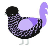 A black and lilac chicken with a lace pattern