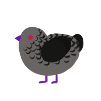 A grey and black chicken with a half-lace pattern