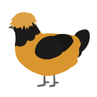 A orange and sable chicken with a head pattern