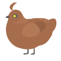 Truck Jr, a brown chicken with a neck-speckle pattern