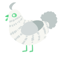 A white and silver chicken with a bar pattern
