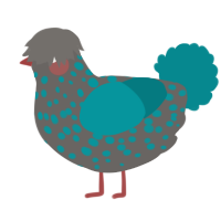 A grey and teal chicken with a speckle pattern