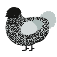 A black and silver chicken with a double-lace pattern