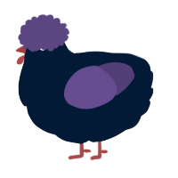 A tumblr and overcast chicken