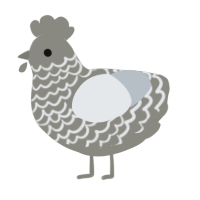 A ash and mist chicken with a lace pattern