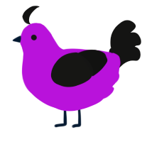 A amethyst and black chicken