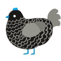JUICY TIRE, a sable and ash chicken with a lace pattern