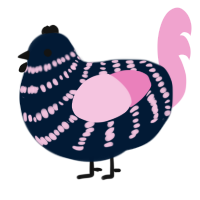 Licorice, a tumblr and pink chicken with a bar pattern