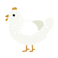 A white chicken with a half-lace pattern