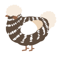 A bark and cream chicken with a bar pattern