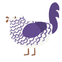 A white and overcast chicken with a lace pattern
