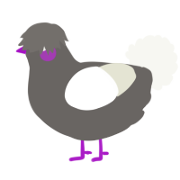 A grey and white chicken