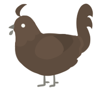 A bark chicken with a head pattern