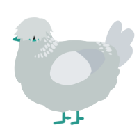 A silver and mist chicken with a neck-band pattern