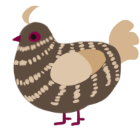 Red Velvet Brownie, a bark and beige chicken with a bar pattern
