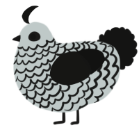 A silver and black chicken with a lace pattern