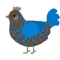 A bark and sapphire chicken with a speckle pattern