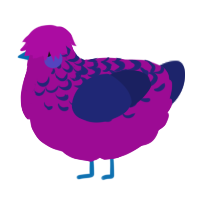 A plum and navy chicken with a half-lace pattern