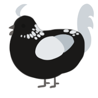 Supernova, a sable and mist chicken with a neck-speckle pattern