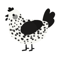 Identikit, a white and sable chicken with a speckle pattern