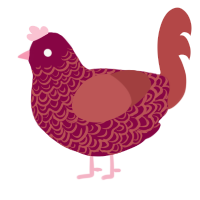 A maroon and red chicken with a double-lace pattern
