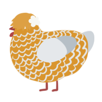 A orange and mist chicken with a lace pattern