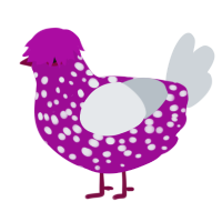 Salami, a plum and mist chicken with a speckle pattern