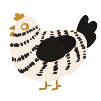 Revese oreo, a cream and sable chicken with a bar pattern