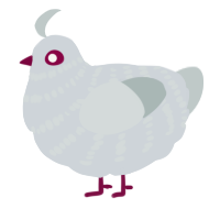 A mist and silver chicken with a bar pattern
