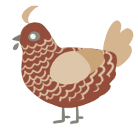 A russet and beige chicken with a lace pattern