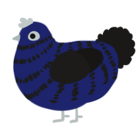 A navy and sable chicken with a bar pattern