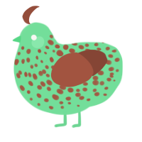 Kiwi, a spring and russet chicken with a speckle pattern