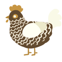 Café Miel, a bark and white chicken with a lace pattern
