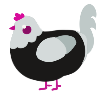 Whats Up, a sable and silver chicken with a head pattern