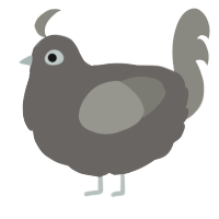 A grey and ash chicken
