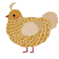 A gold and beige chicken with a lace pattern