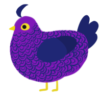 A violet and navy chicken with a double-lace pattern