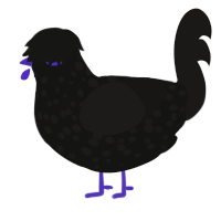 oppenheimer, a black and sable chicken with a speckle pattern