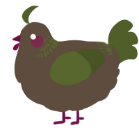A bark and olive chicken with a neck-band pattern