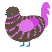 A bark and orchid chicken with a bar pattern
