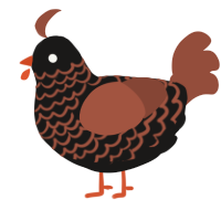 (unnamed), a sable and russet chicken with a lace pattern