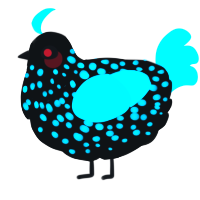 A black and aqua chicken with a speckle pattern