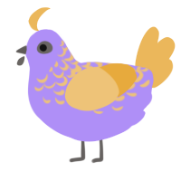 Razul, a lilac and honey chicken with a half-lace pattern