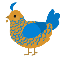 A orange and sapphire chicken with a lace pattern